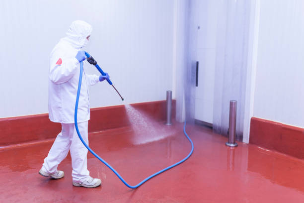 Best Spring Cleaning  in Patrick Af, FL